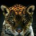 Hillary Leon - Facebook