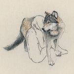 hillary love riley - @whitewolfweavings - Instagram