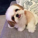 Olivia Enna - @hillarymadison87 - Instagram