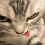 hillary - @hillarymayer_ - Instagram