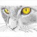 Hillary Mayer - Facebook