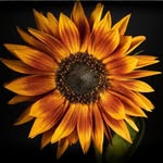 Hillary - @hillarymcbride0522 - Instagram