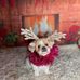 Hilary McIntyre - Facebook