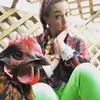 Hillary McKay - @hillbillychickens - TikTok