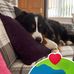 Hillary Neely - Facebook