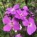 Hillary Raines - Facebook