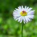Hillary Raines - Facebook