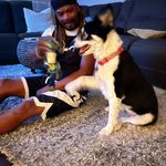 Hillary and Raymond - @doggiedaycare_pv - Instagram