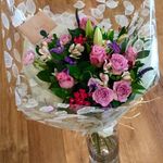 Hillary Reid - @tartybreeks - Instagram