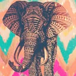 Hillary Ridgeway - @ridgeway.hillary - Instagram
