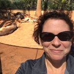 Hillary Rosenberg - @hillaryarosenberg - Instagram