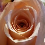 Hillary Rothermel - @hillaryrothermel - Instagram