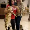 hillarysavannah1 - @hillarysavannah1 - TikTok