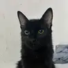 Hillary Schulz - @hillaryschulz - TikTok