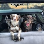 Hillary Riddle Sellers - @hill.sellers - Instagram
