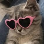 HillaryShea47 - @hillaryshea47 - Instagram