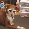 stark.hillary - @stark.hillary - TikTok