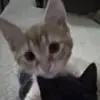 @lhilary521✨ - @hilarywen - TikTok
