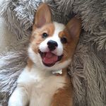 Hillary Wright - @hillary._.wright - Instagram