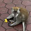 Hillary Zhang - @hillary.zhang - TikTok