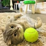 Hillary Zhang - @zhanghillary - Instagram