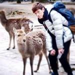 Hin Leung - @yathin608 - Instagram