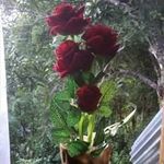 Hing Ling - @hing.ling.3154 - Instagram
