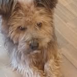 Hing Yuen Tam - @hingyuentam - Instagram