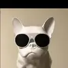 HINGYUENKING - @hingyuenking - TikTok