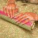 Hira Hammad - Facebook