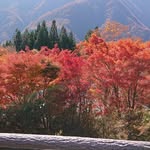 菅原 力 - @hiro.suzuki.96742277 - Instagram
