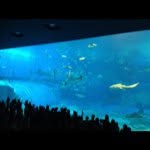 Hiro Suzuki - @suzhiro360 - Instagram