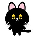 HIRO SUZUKI - @hirosuzuki01 - Instagram
