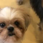 Hiro Suzuki - @buppantabi - Instagram
