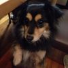 Hiroaki_Ito - @Hiroaki_Ito - TikTok