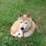 Hiroko  Hashimoto - @hiroko7565 - Instagram