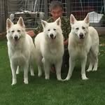 Hiroko  Hashimoto - @buhi84shin - Instagram