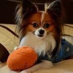 Hiroko Hashimoto - @ha1012hirokosann - Instagram
