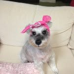 HIROKO HASHIMOTO - @woopy0115 - Instagram