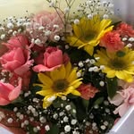 Hiroko Hashimoto - @mi.ma._.ma - Instagram