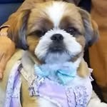 Hiroko Hashimoto - @hiroko.hashimoto.3649 - Instagram