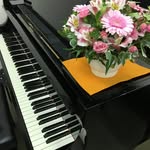 Hiroko Hashimoto - @hashimotogakki.284118 - Instagram