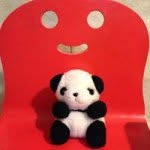 @hiromi_ando - Instagram