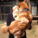 Hiromi Ando - @hiromi.ando.524 - Instagram