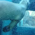 Hiromi Ando - @hiromi.ando.52687 - Instagram