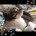 Hiromi Ando - @anlama2 - Instagram