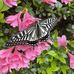 Hiromi Andou - Facebook
