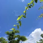 Hiromi.a - @hiromi_ando_ - Instagram