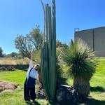hiromiando - @hiromi_andoo - Instagram