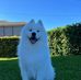 Hiroshi Harada - Facebook